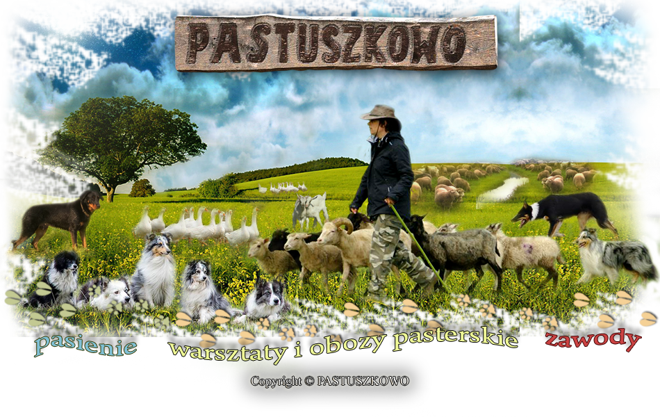 zawody pasterskie PASTUSZKOWO